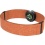 Polar OH1