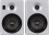 Earthquake Sound IQ52S iPod Docking Speaker System (Silver Piano Gloss, Pair)