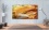 Panasonic TX-55GZ2000 4K HDR OLED TV
