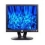 Dell E153FP 15 inch LCD Monitor