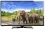 MEDION LIFE P17113 LED-Backlight (MD 31021) 106,4 cm (42 &quot;), Full HD Display, HD Triple Tuner, Media Player, CI+, 200 Hz, EPG, SWAP, EEK: A+, schwarz