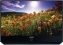 Samsung HL S-76 Series Plasma TV