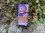 Xiaomi 15