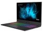 Medion Erazer Beast X10 (17.3-inch, 2020)