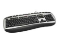 Labtec Internet Keyboard