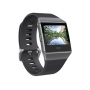 Fitbit - 'Fitbit Ionic' smart watch 182709