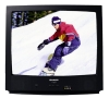 Sharp 25R-S100 25" TV (Black)