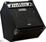 Fender Bassman 150