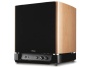 Pioneer S-W 250