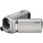 Sony Handycam DCR SX31