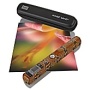 VuPoint Magic Wand II Portable Scanner with Built-In Color LCD, Travel Case and Software