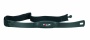 Polar T31