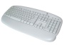 Logitech Deluxe Access Keyboard