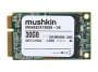 Mushkin MKNSSDAT30GB-DX