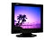 ViewEra 17" LCD TV Monitor V171T