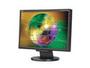 NEC Display Solutions LCD195WVXM-BK Black 19&quot; Rapid Response (5ms) DVI Widescreen LCD Monitor - Retail