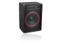 150-Watt 2-Way PA Monitor Speaker