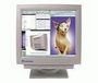 Cornerstone Professional 1460 (White) 19 inch CRT Monitor