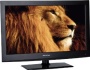 Telestar LED TV 1022 54,6cm (22 Zoll) LED-Backlight-Fernseher,  EEK B (Full HD, HDMI, Scart, DVB-S/-S2/-C/-T, CI+, USB) schwarz