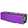 GadgetinBox™ Rechargeable Music Angel Docking Speakers For Apple iPhone's / iPod's (Purple)