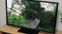 Panasonic S60 plasma TV