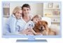 Telefunken XH24A100 61 cm (24 Zoll) Fernseher (HD-Ready, Triple Tuner) blau