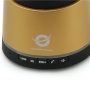 Conceptronic CLLSPKPCARG enceinte portable