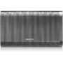 Samsung DA-F61 Portable Wireless Speaker with NFC (Silver)