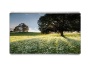 LG 47WX50MF-B