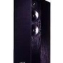 Polk Audio         RT16         Floorstanding Speakers