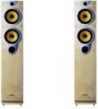 Wharfedale Pacific Evolution 40