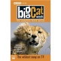 Big Cat Week: Series 3