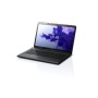 Sony Vaio E1711R1EB 43,8 cm (17,3 Zoll) Notebook (Intel Core i5 2450M, 2,5GHz, 4GB RAM, 750GB HDD, Intel HD 3000, DVD, Win 7 HP) schwarz