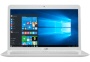 ASUS F756UQ-T4350T, Notebook mit 17.3 Zoll Display, Core™ i5 Prozessor, 8 GB RAM, 1 TB HDD, 256 GB SSD, NVIDIA® GeForce® 940MX, Weiß