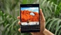 BlackBerry Passport