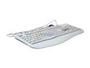 Anyware EZ-9910OP Beige PS/2 Standard Office Keyboard - Retail