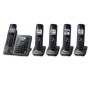 Panasonic P172-3006