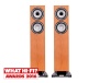 Tannoy Revolution XT 6F