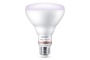 Philips Hue BR30