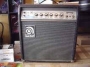 Ampeg GU 12