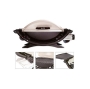 Weber-Stephen Products Q 200 Gas Grill