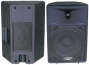 PYLE PPHP1290 800 Watt 12-Inch Two Way Plastic Molded Loudspeaker