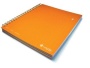 Livescribe 3-Subject Notebook (Orange)