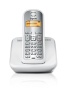 Siemens Gigaset SIAS290 - Teléfono fijo inalámbrico, capacidad guía telefónica 80, color blanco y plata