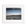 iPort Control Mount for iPod touch, iPad and iPad mini