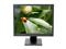 NEC AccuSync ASLCD200VX-BK 20" LCD Monitor (Black)
