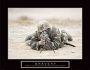 Sniper Motivational Poster Military Inspirational Art Print, 28x22 Art Poster Print, 28x22 Art Poster Print, 28x22