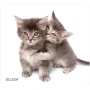 Allsop 30184 Naturesmart Mouse Pad