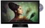 Proscan PLEDV2488 24-Inch 720p 60Hz LED TV-DVD Combo