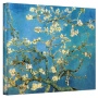 Art Wall Almond Blossom by Vincent Van Gogh Gallery Wrapped Canvas Art, 24 by 32-Inch